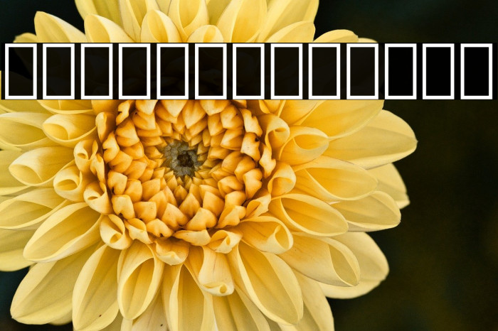 Iranian Sans Bold Example 2