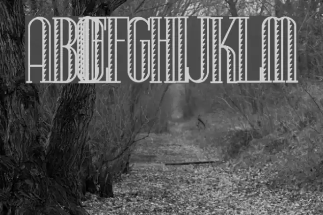 IranianHand-Lettered Font examples