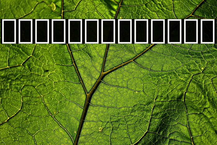 IranianSerif Example 3