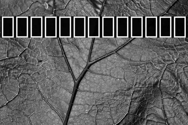 IranianSerif Font examples