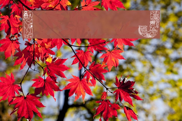 Irasuto Ji Example 3