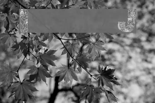 Irasuto Ji Font examples