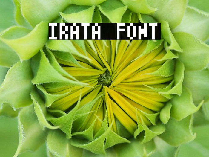 Irata Example 1