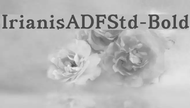 IrianisADFStd-Bold Font examples