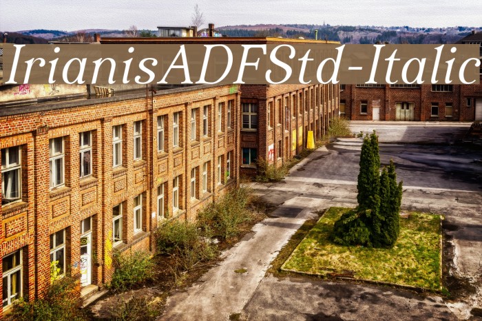 IrianisADFStd-Italic Font examples