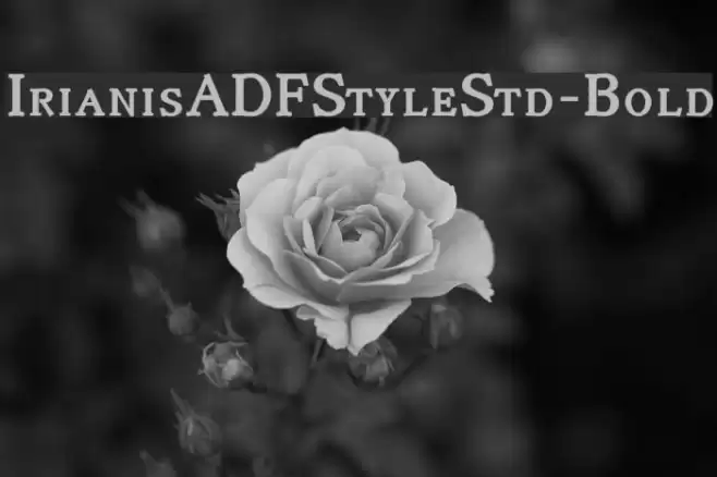 IrianisADFStyleStd-Bold Fuentes examples