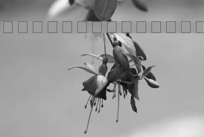 Irish Blessing Шрифта examples