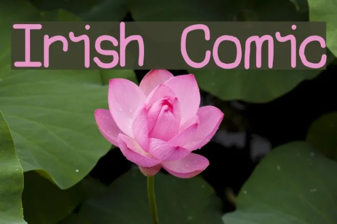 Irish Comic Example 1