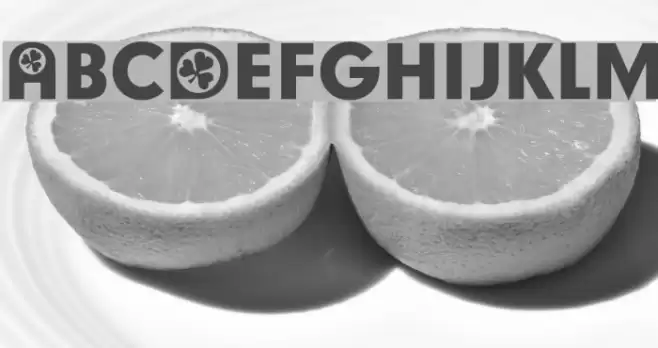 Irish Participants Font examples