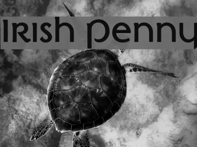 Irish Penny Font examples