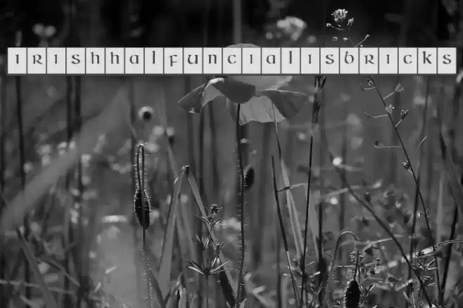 IrishHalfUncialisBricks Font examples