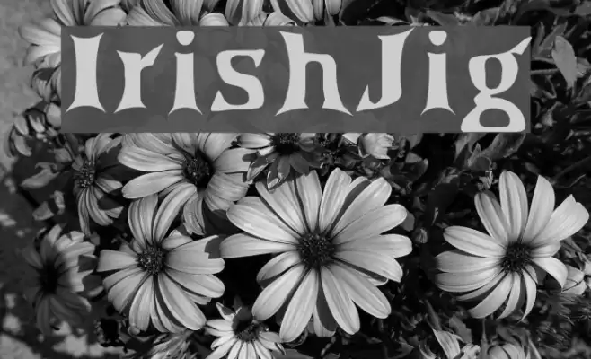 IrishJig Font examples