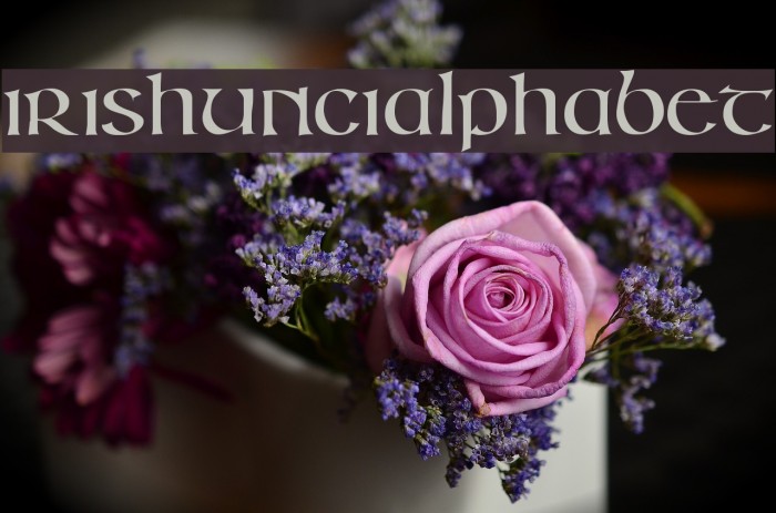 IrishUnciAlphabet Font examples