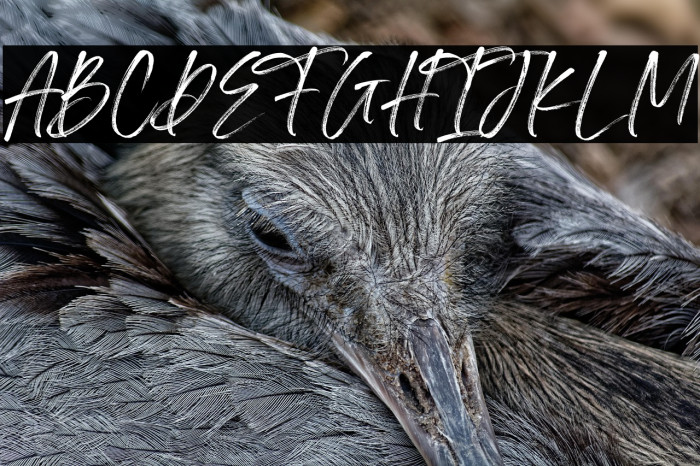 Irlandya Demo Example 1