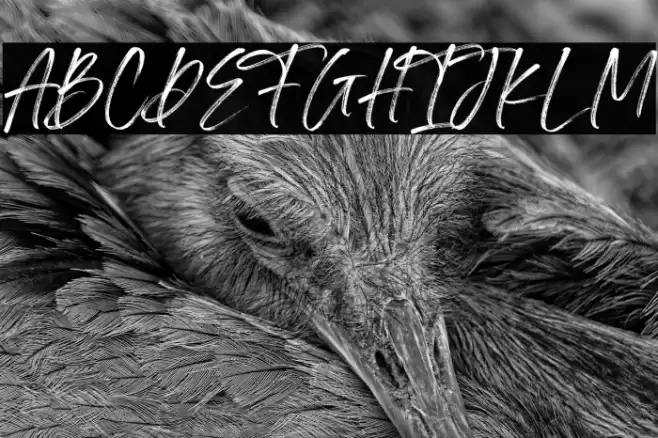 Irlandya Demo Font examples