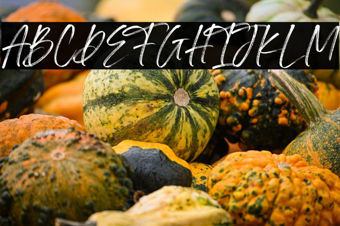 Irlandya Demo Example 2