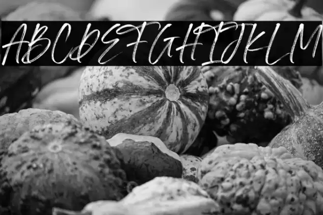 Irlandya Demo Font examples