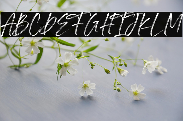 Irlandya Demo Example 3