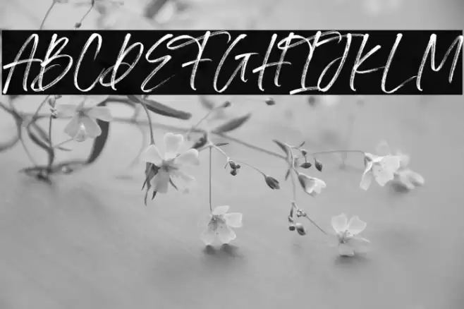 Irlandya Demo Font examples