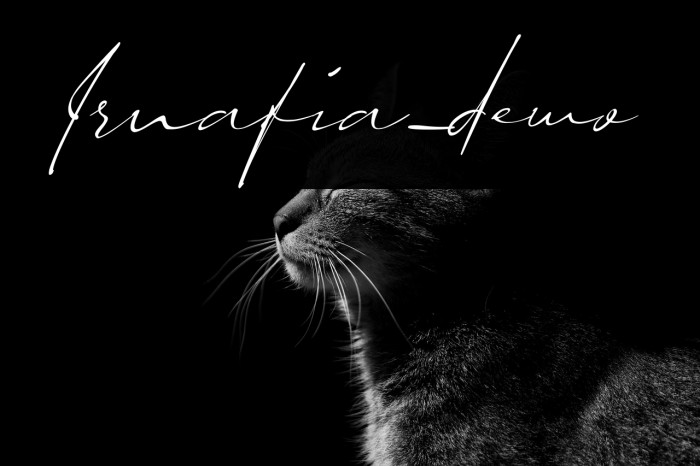 Irnafia_demo Example 1