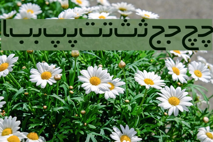 Irnafont_10 Font examples