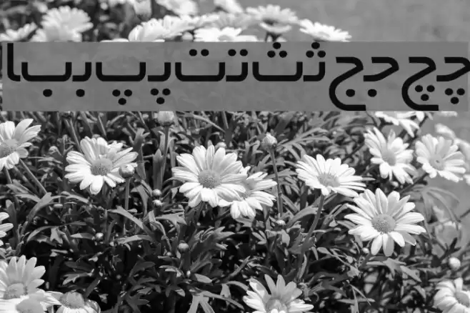 Irnafont_10 Fonte examples