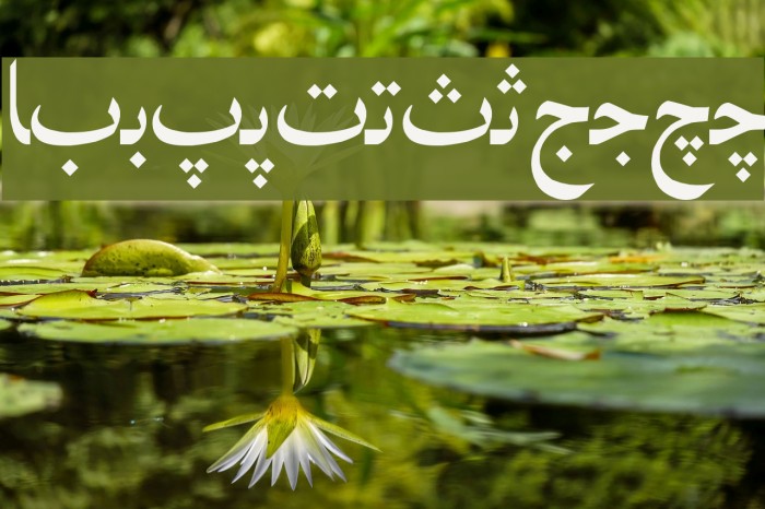 Irnafont_4 Fonte examples