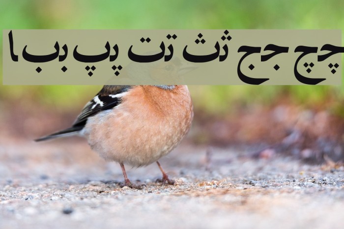Irnafont_6 Font examples