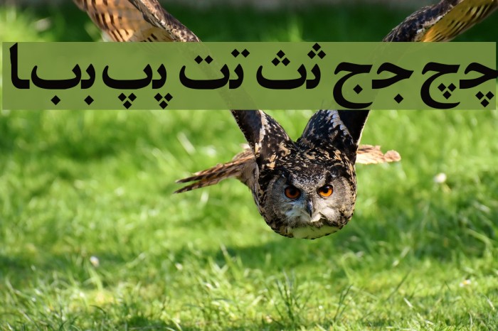 Irnafont_7 Example 2