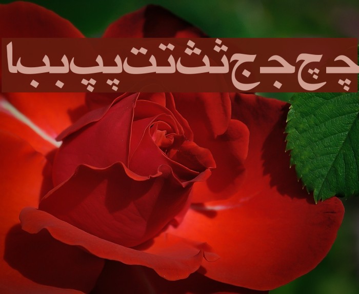 Irnafont_9 Font examples
