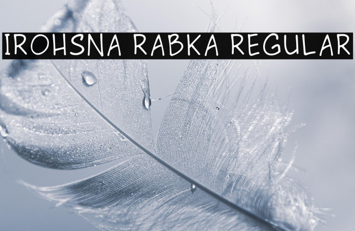 Irohsna Rabka Regular Example 2