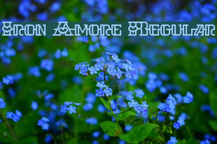 Iron Amore Regular Font examples