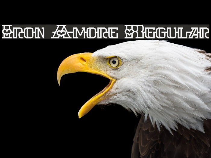 Iron Amore Regular Example 2