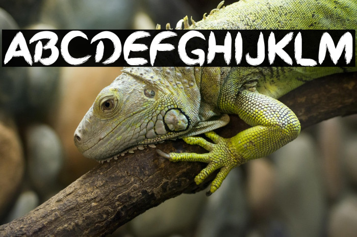 Iron Blade Example 1