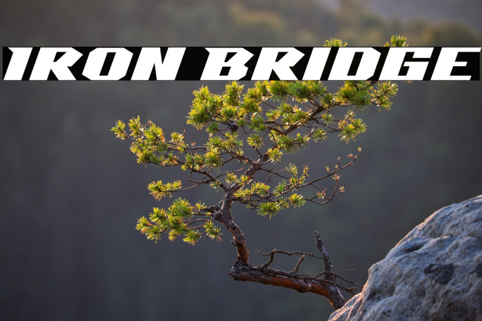 Iron Bridge Example 1