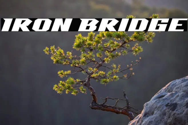Iron Bridge Example 1