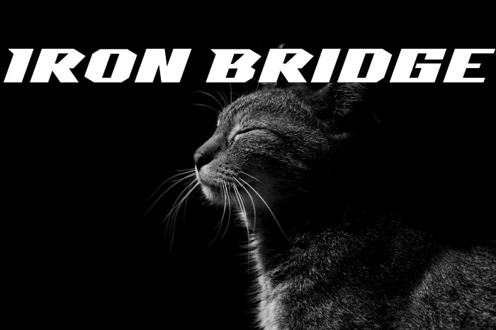 Iron Bridge Example 2