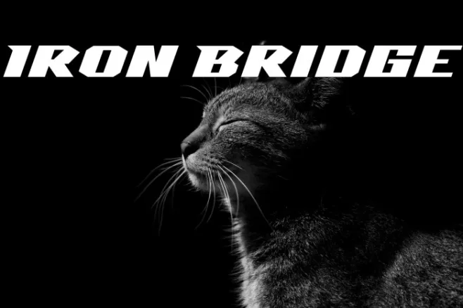 Iron Bridge Example 2