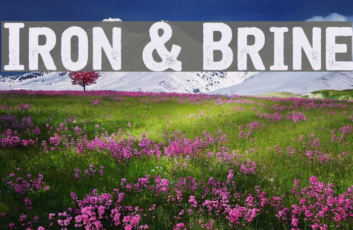 Iron & Brine Font examples