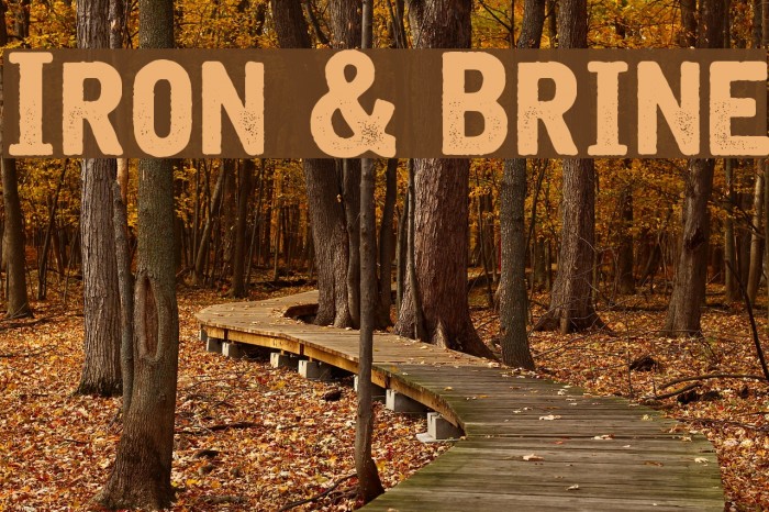 Iron & Brine Font examples