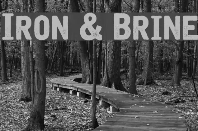 Iron & Brine Polices examples