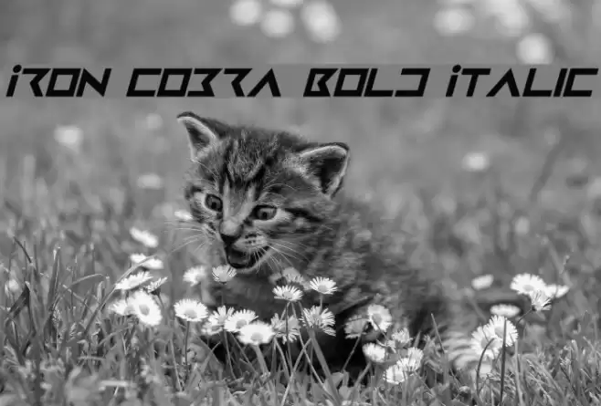 Iron Cobra Bold Italic Font examples