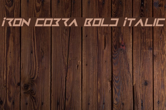 Iron Cobra Bold Italic Schriftart examples