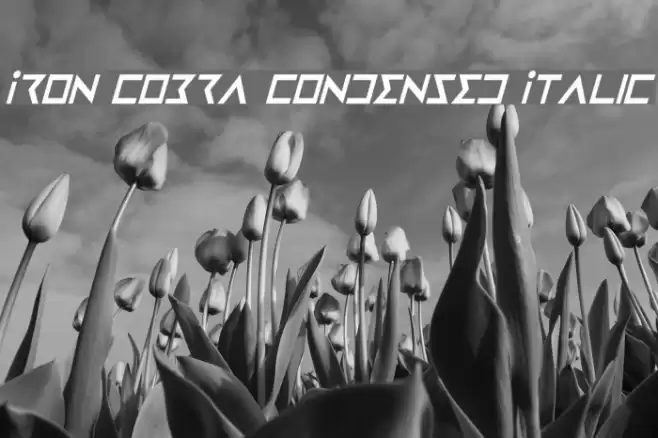 Iron Cobra Condensed Italic フォント examples