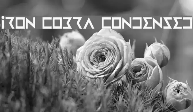 Iron Cobra Condensed Font examples