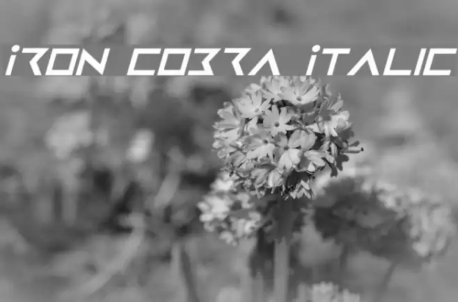 Iron Cobra Italic Font examples