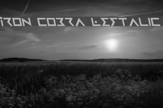 Iron Cobra Leftalic Font examples