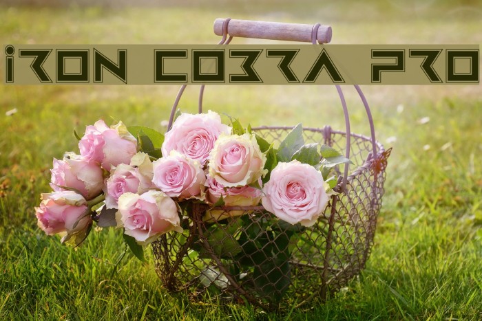 Iron Cobra Pro Font examples