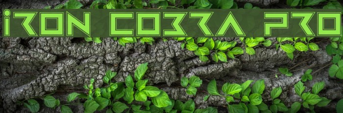 Iron Cobra Pro Font examples