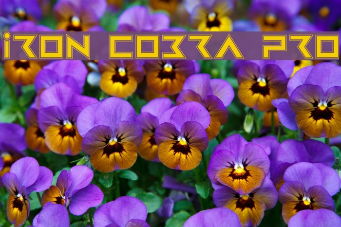 Iron Cobra Pro Font examples